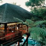 Ecohoteles en plena naturaleza