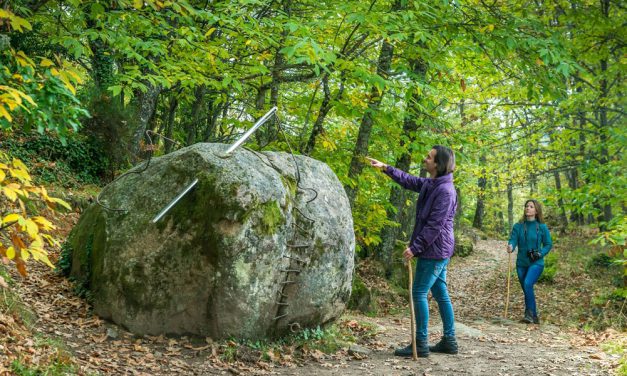 Los caminos del arte en la naturaleza