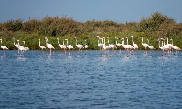 Naturaleza exuberante en la región de Lisboa