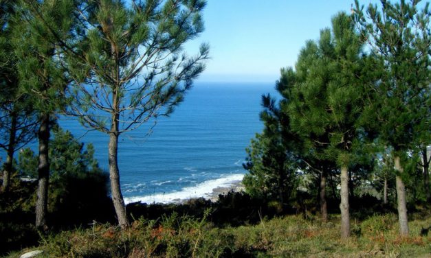 Programa de caminos naturales en España