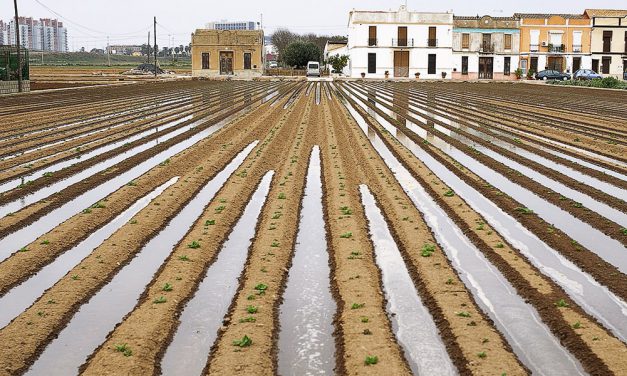 EL Regadío histórico de l’Horta de València, Patrimonio Agrícola Mundial