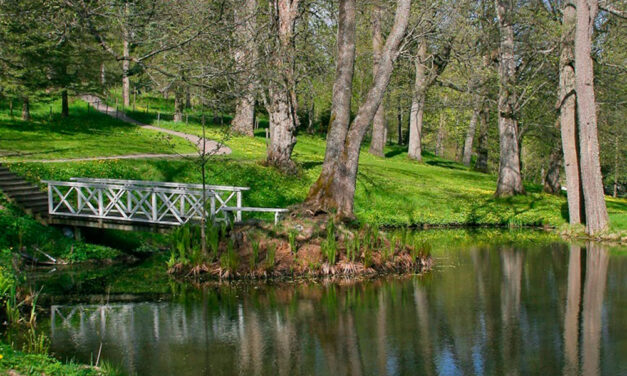 Paseos por la naturaleza