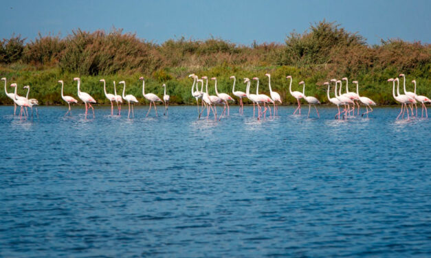 El estuario del Tajo