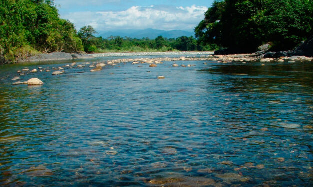 Biodiversidad acuática de la Amazonía en peligro