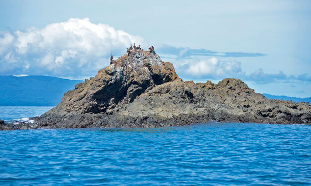 Golfo dulce, un pequeño laboratorio para el mundo