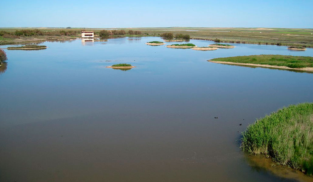 Lagunas de Villafáfila