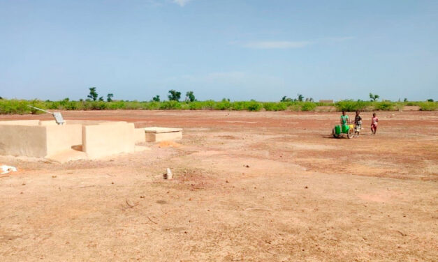 Inteligencia artificial para buscar agua