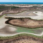 La laguna más grande de Doñana se seca