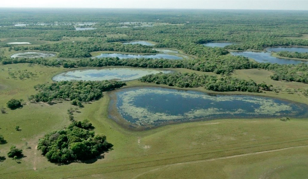 El pantanal brasileño, el mayor bioma de humedal del mundo