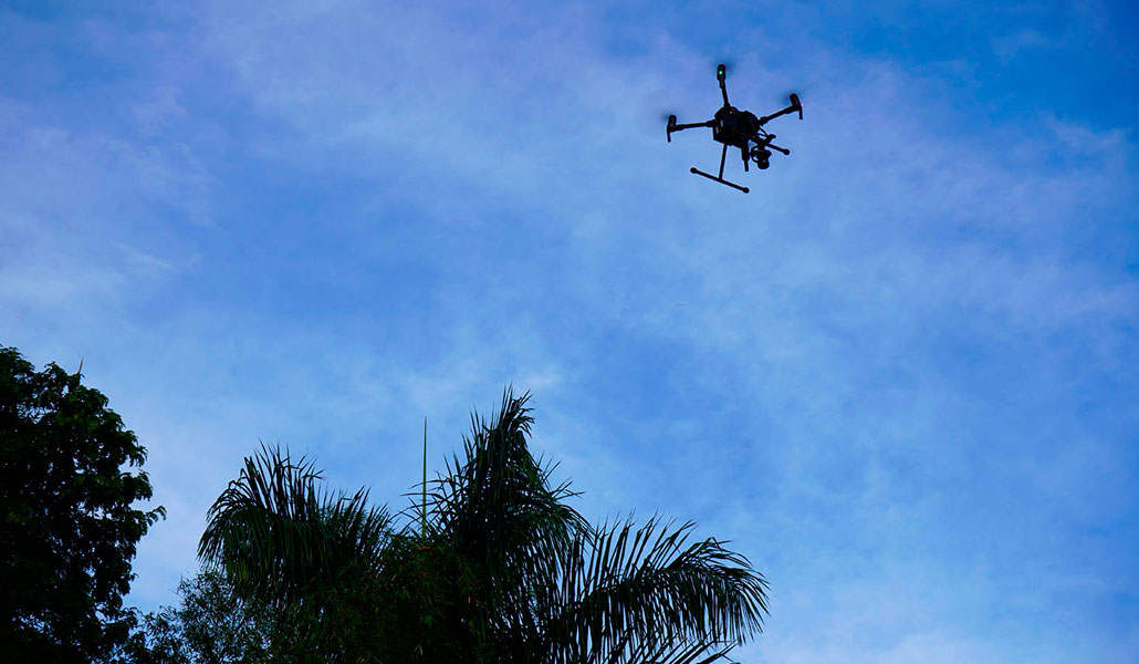 Los drones garantizan la productividad en el campo ante la  sequía