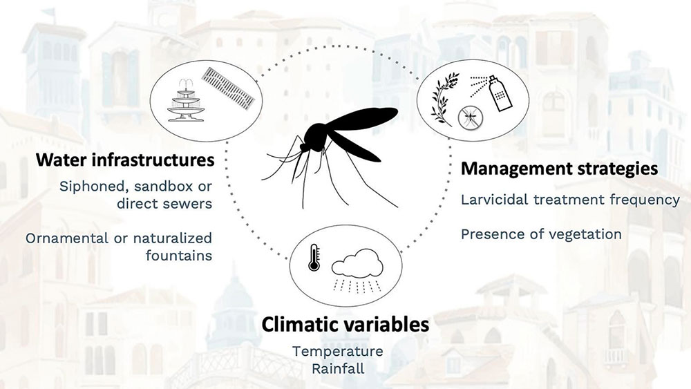 Gráfico del estudio de mosquitos